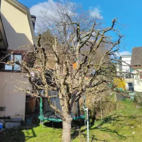 Bild von DZ Hauswartung und Gartenunterhalt