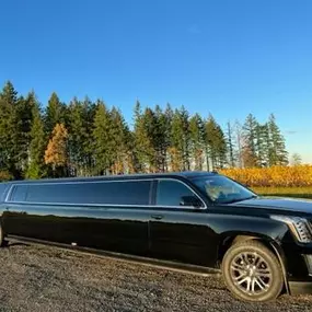 Bild von JMI Limousine