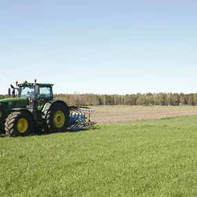 Bild von Hof Brase Spargel - Bio-Eier - Milchviehhaltung