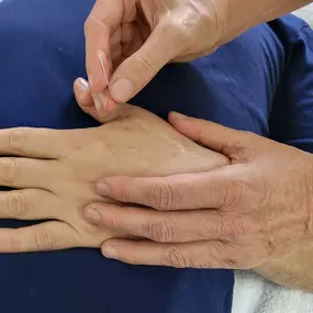 Bild von Akupunktur, traditionelle chinesische Medizin und Naturheilverfahren - TCM Praxis Dr. Miersch