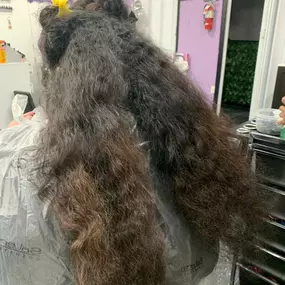 Bild von Marisol Hair Style