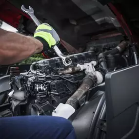 Bild von Sundogz Automotive & Marine Solutions