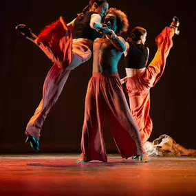 Bild von Noba Danza Studio