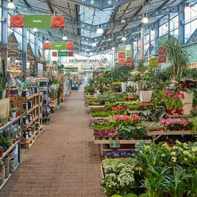 Bild von OBI Markt Agno