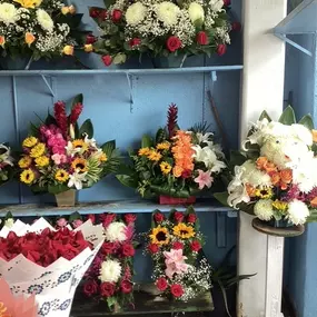 Juquila Flowers - flowers