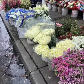 Juquila Flowers - Flower Delivery