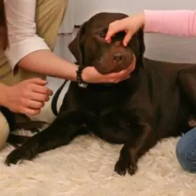 Bild von Ergo Therapie Trompeter