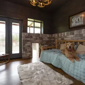 Bild von Tailwaggers Country Inn
