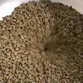 Bild von Koko Crater Coffee Roasters