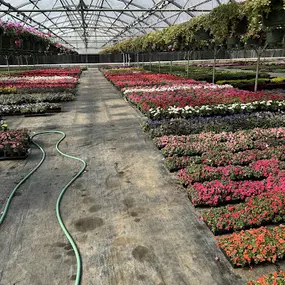 Bild von Spano Greenhouse & Farm