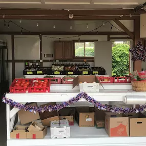 Bild von Spano Greenhouse & Farm