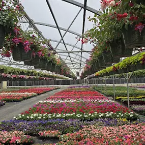 Bild von Spano Greenhouse & Farm