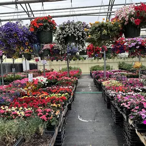 Bild von Spano Greenhouse & Farm