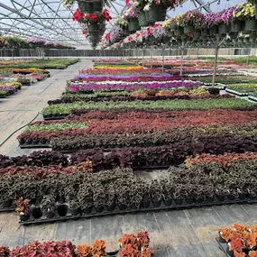 Bild von Spano Greenhouse & Farm
