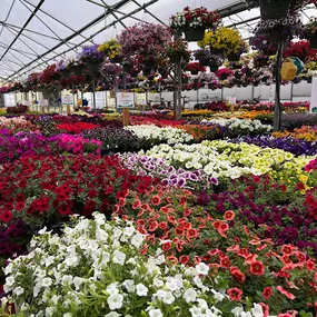 Bild von Spano Greenhouse & Farm
