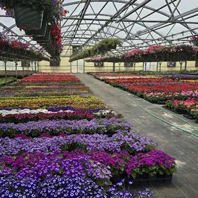 Bild von Spano Greenhouse & Farm