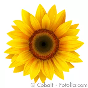 Bild von Psychotherapie HeilprG Heart Math Methode Strobelt-Lockenvitz Petra