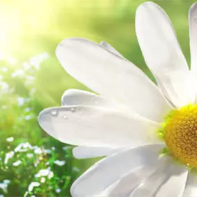 Bild von Psychotherapie HeilprG Heart Math Methode Strobelt-Lockenvitz Petra