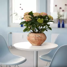 Blumenarrangement auf einem Tisch im Wartebereich des Kinderwunschzentrums Erlangen – in freundlicher, heller Umgebung.