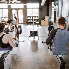 Bild von LC Line & Low