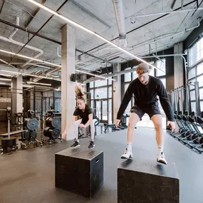 Bild von LC Line & Low