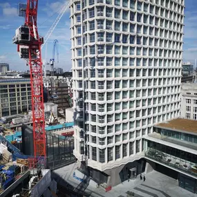 Bild von Solo Construction Management