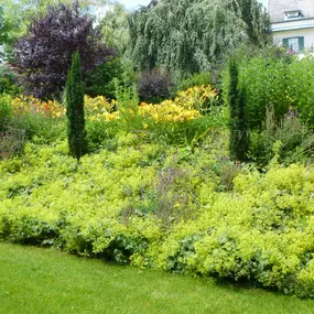 Rund um Rasen, 1130 Wien