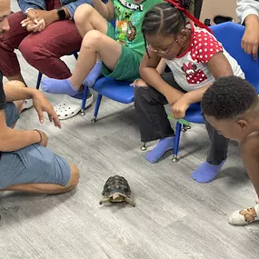 Bild von Cold Blooded Kingdom