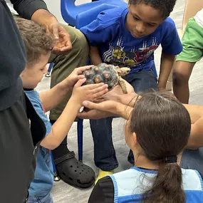 Bild von Cold Blooded Kingdom