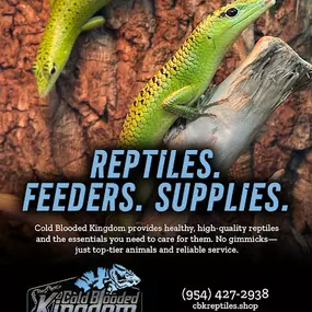 Bild von Cold Blooded Kingdom