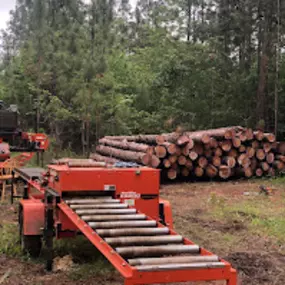 Bild von Three Notch Sawmill