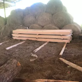 Bild von Three Notch Sawmill