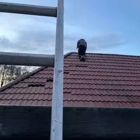 Bild von Great British Roofing Services