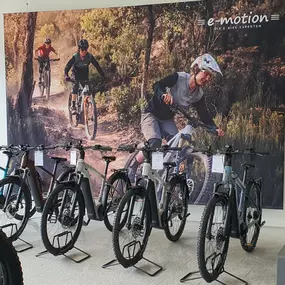 Bild von e-motion e-Bike Welt, Dreirad- & Lastenfahrrad-Zentrum Krefeld