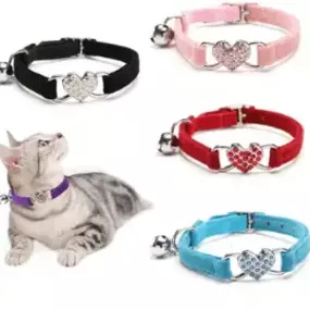 Bild von Paw Pal Shop