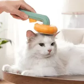 Bild von Paw Pal Shop