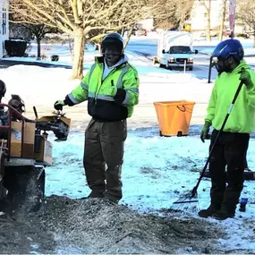 Image of stump grinding and removal services in Latham, NY