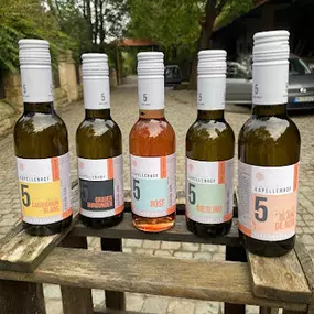 Wein zum Probieren | Kapellenhof5 - Next Generation | Qualitätsweine
