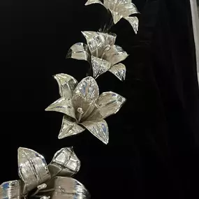 481080158_1289181512150261_3816516540118355656_n.jpg