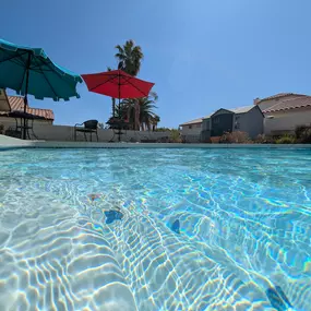 Bild von Acme Pool & Spa Care