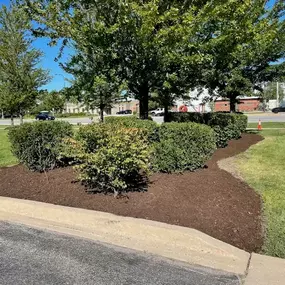 Landscaping work done for a commercial project