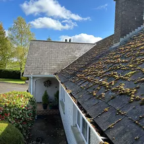 Bild von Exterior Excellence Cleaning