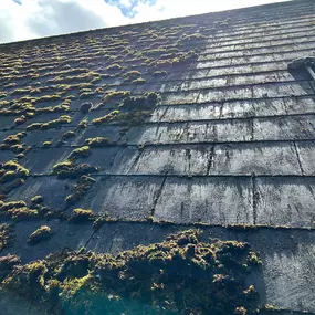 Bild von Exterior Excellence Cleaning
