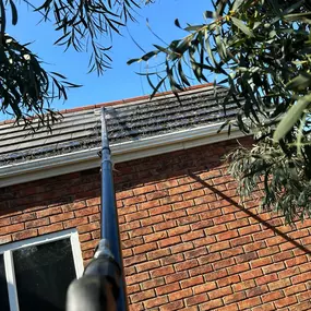 Bild von Exterior Excellence Cleaning