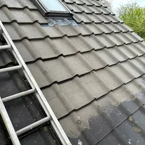Bild von Exterior Excellence Cleaning