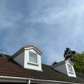 Bild von Exterior Excellence Cleaning