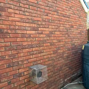 Bild von Exterior Excellence Cleaning