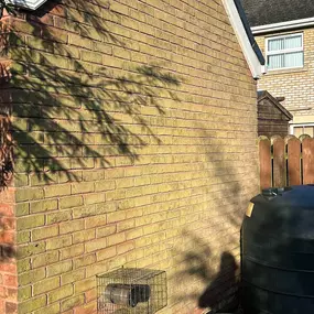 Bild von Exterior Excellence Cleaning