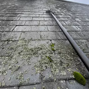 Bild von Exterior Excellence Cleaning