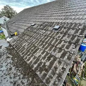 Bild von Exterior Excellence Cleaning